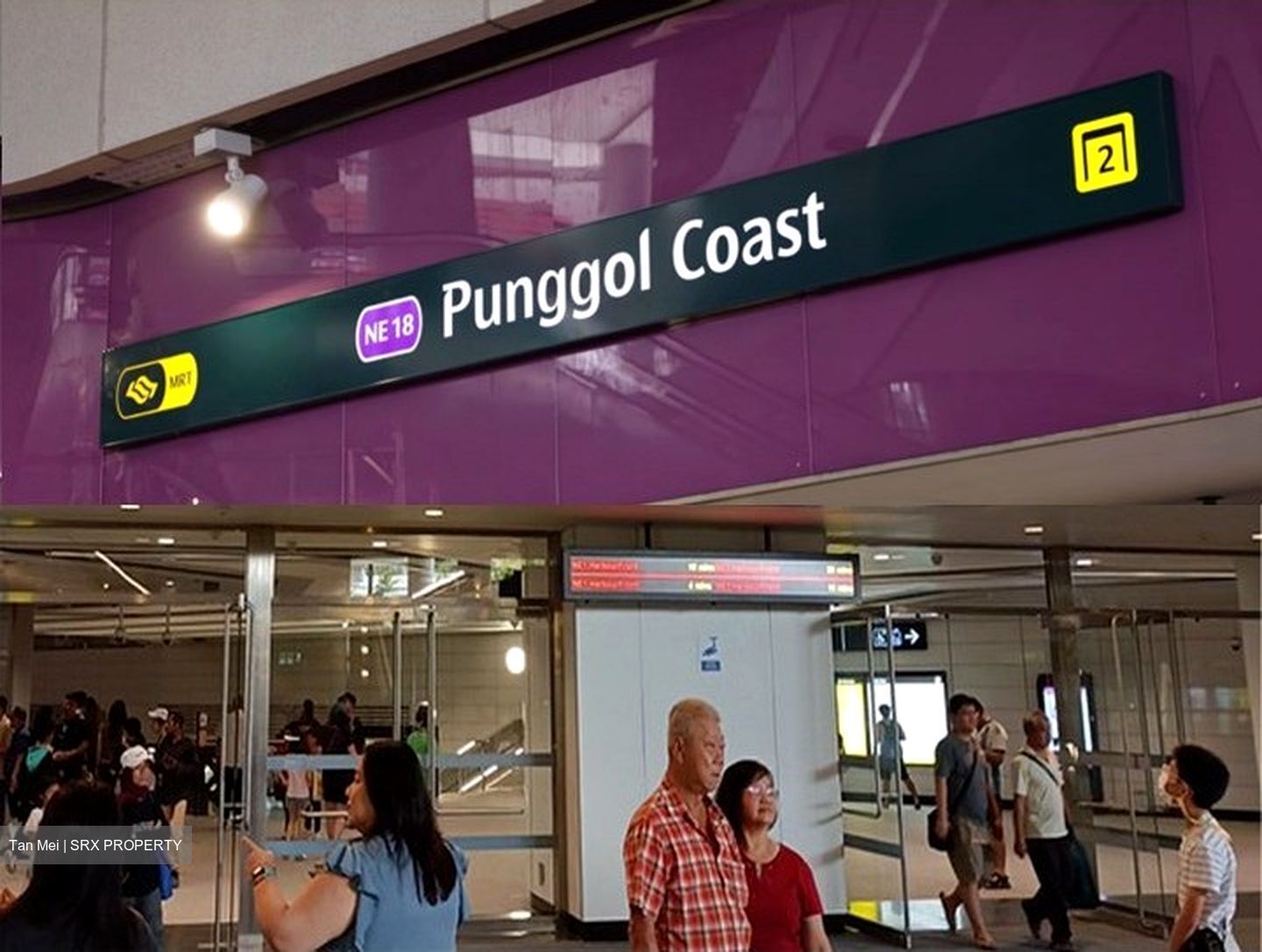 Blk 442A Punggol Point Cove (Punggol), HDB 4 Rooms #511111301